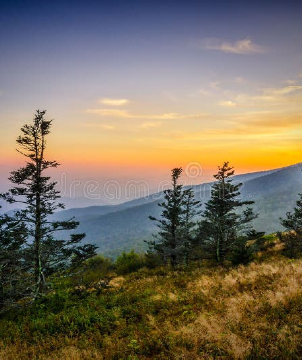 Văn học Phật giáo - Những chuyến đi xa (5)