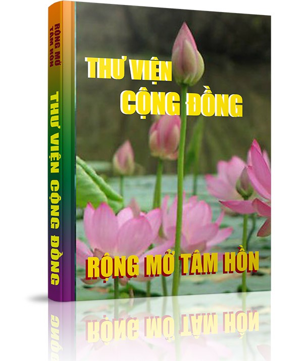 Những suy nghĩ về nền giáo dục Việt Nam hiện nay - Sự trăn trở của một kẻ lười biếng - Phân đoạn 2