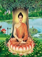 Phật Lý Cơ Bản