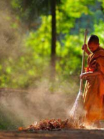 Tản văn Phật giáo - Vĩnh Hảo