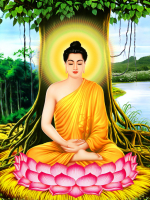 Đức Phật Và Cuộc Chuyển Hóa Nhân Sinh Tận Gốc Rễ