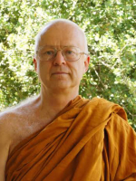Tu tập Phật pháp - Thanissaro Bhikkhu