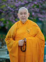 Phật sự đó đây - Thích Như Điển