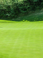 Tản văn -  Tiểu Lục Thần Phong  