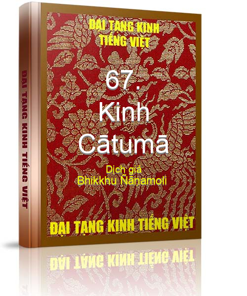 Đại Tạng Kinh Việt Nam