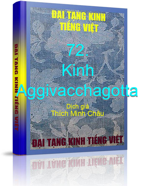 Đại Tạng Kinh Việt Nam