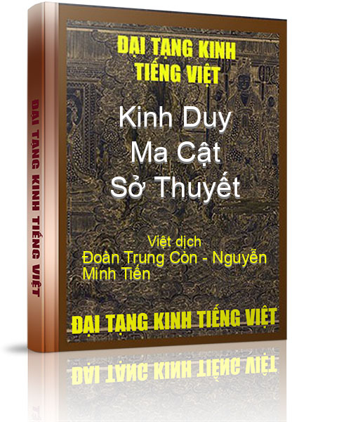 Đại Tạng Kinh Việt Nam