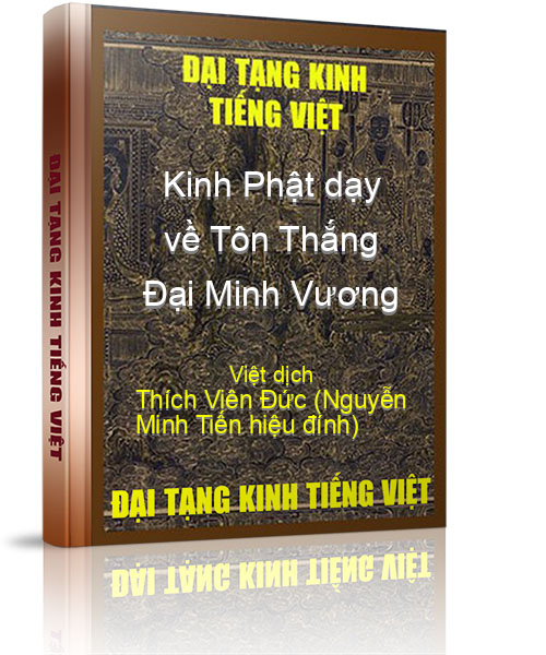 Đại Tạng Kinh Việt Nam