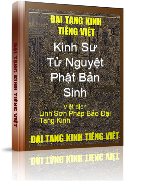 Đại Tạng Kinh Việt Nam