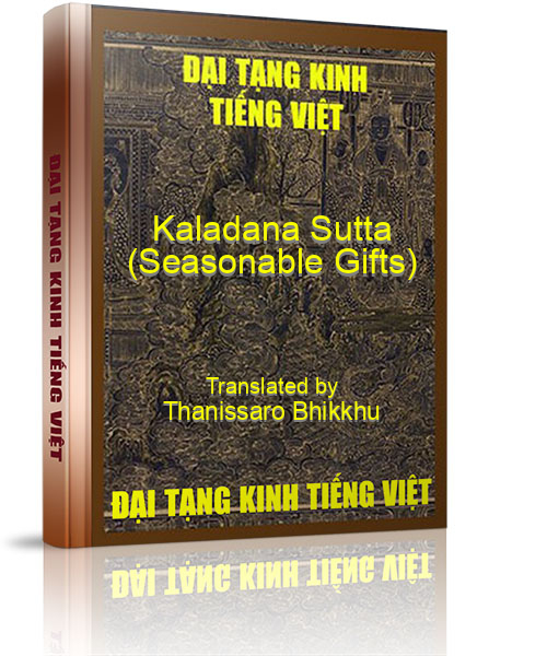 Đại Tạng Kinh Việt Nam