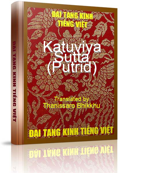 Đại Tạng Kinh Việt Nam