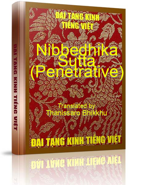 Đại Tạng Kinh Việt Nam