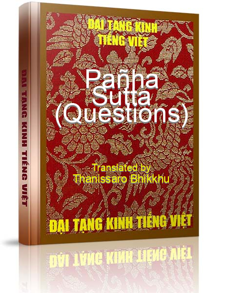 Đại Tạng Kinh Việt Nam