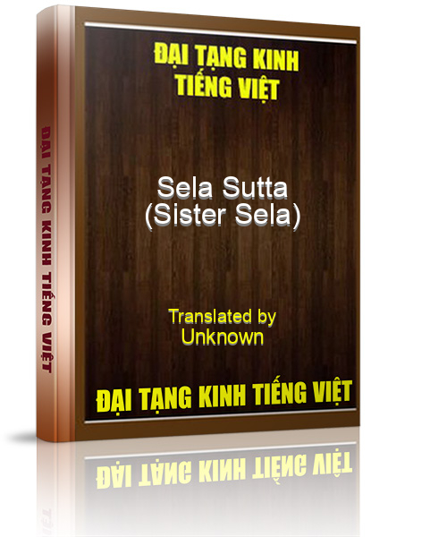 Đại Tạng Kinh Việt Nam