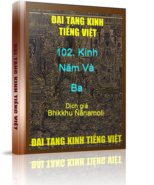 Đại Tạng Kinh Việt Nam