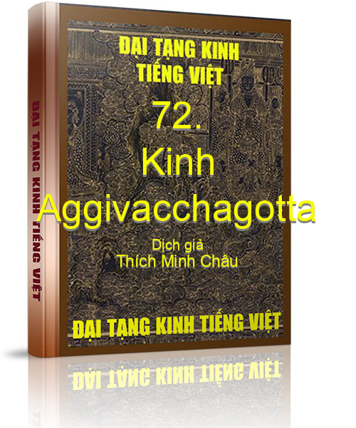 Đại Tạng Kinh Việt Nam