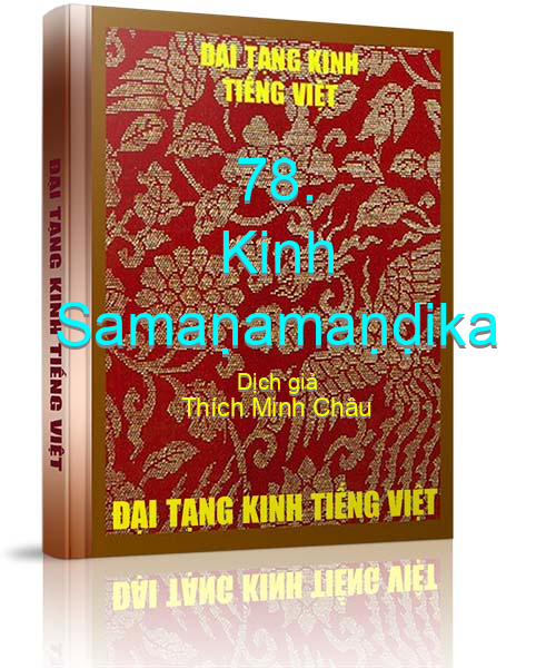 Đại Tạng Kinh Việt Nam