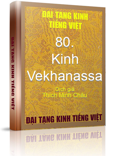 Đại Tạng Kinh Việt Nam