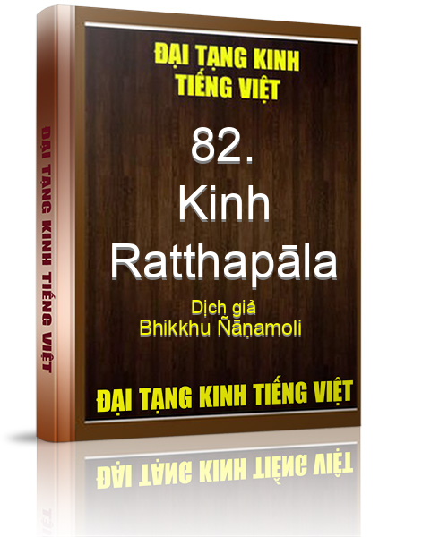 Đại Tạng Kinh Việt Nam