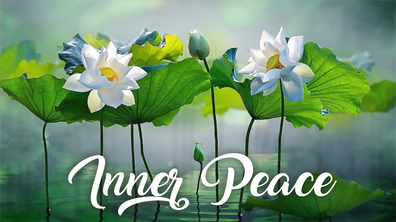 Phướng Tiện Để Mây Tan Trăng Hiện