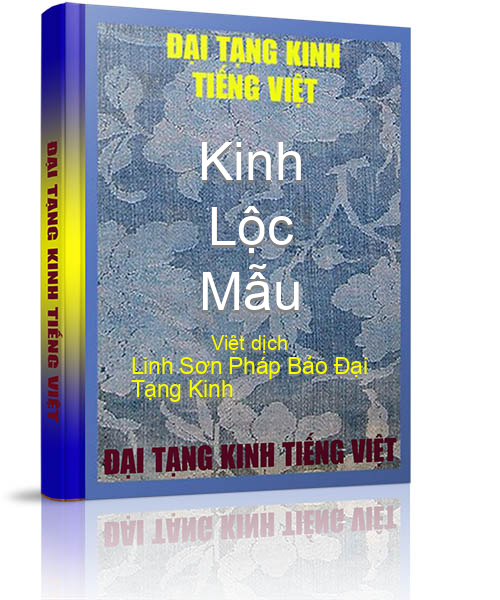 Đại Tạng Kinh Việt Nam