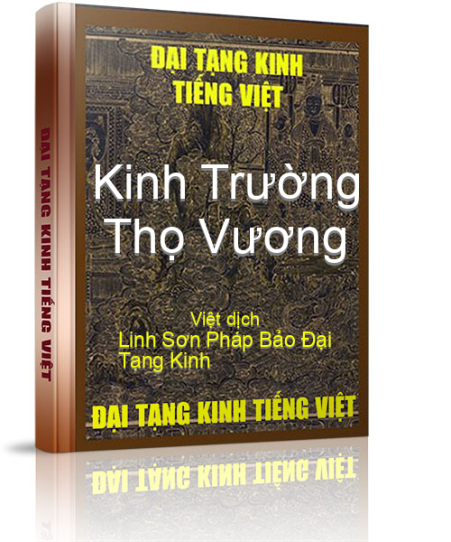Đại Tạng Kinh Việt Nam
