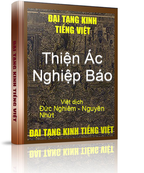Đại Tạng Kinh Việt Nam